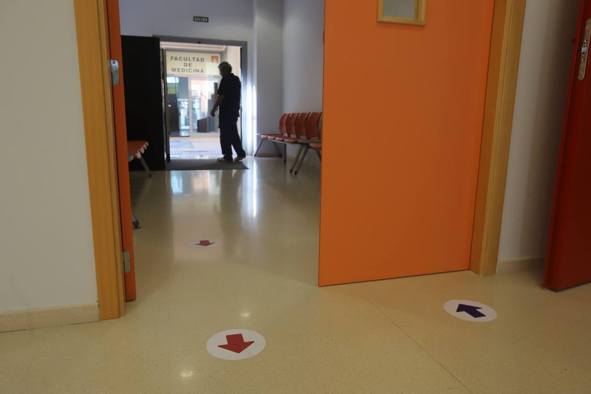 En imágenes, los preparativos para la Selectividad 2020 en Córdoba