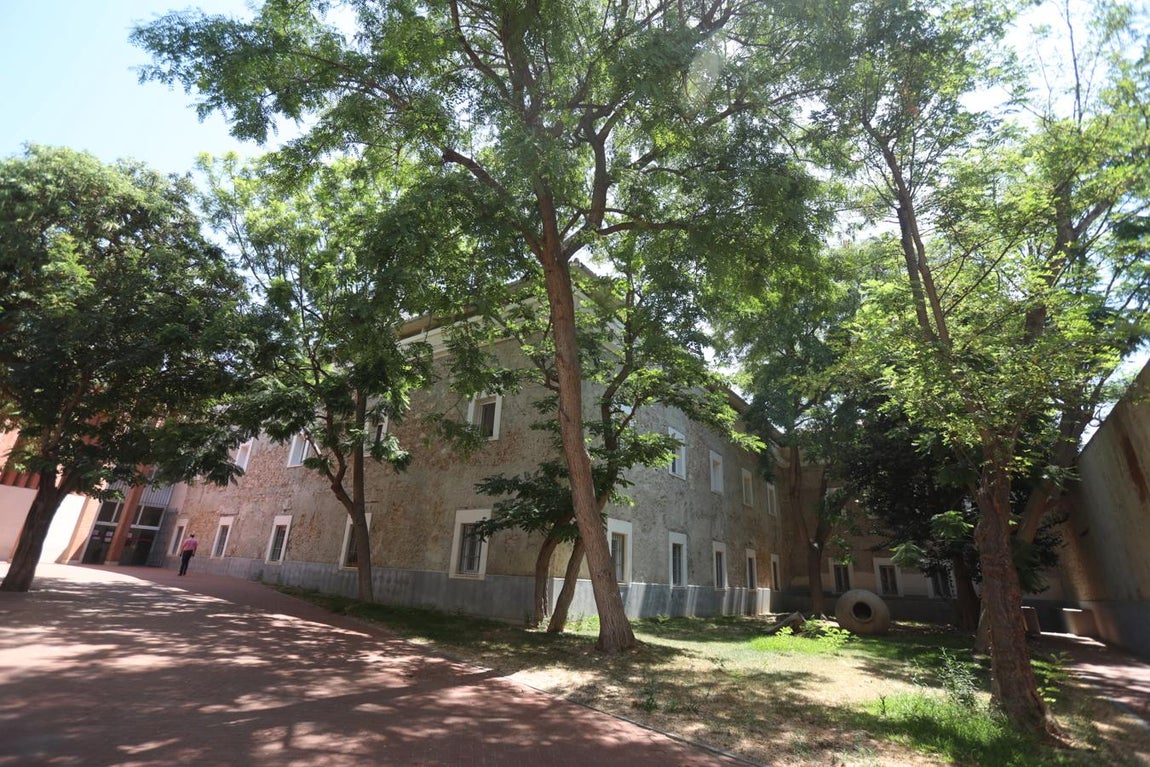 La UCA prepara su campus para el comienzo del próximo curso