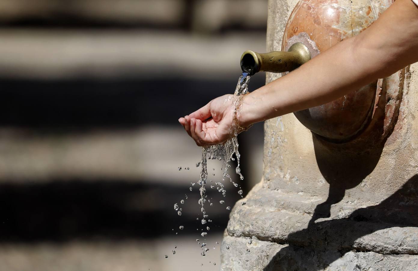 El calor sofocante de Córdoba, en imágenes