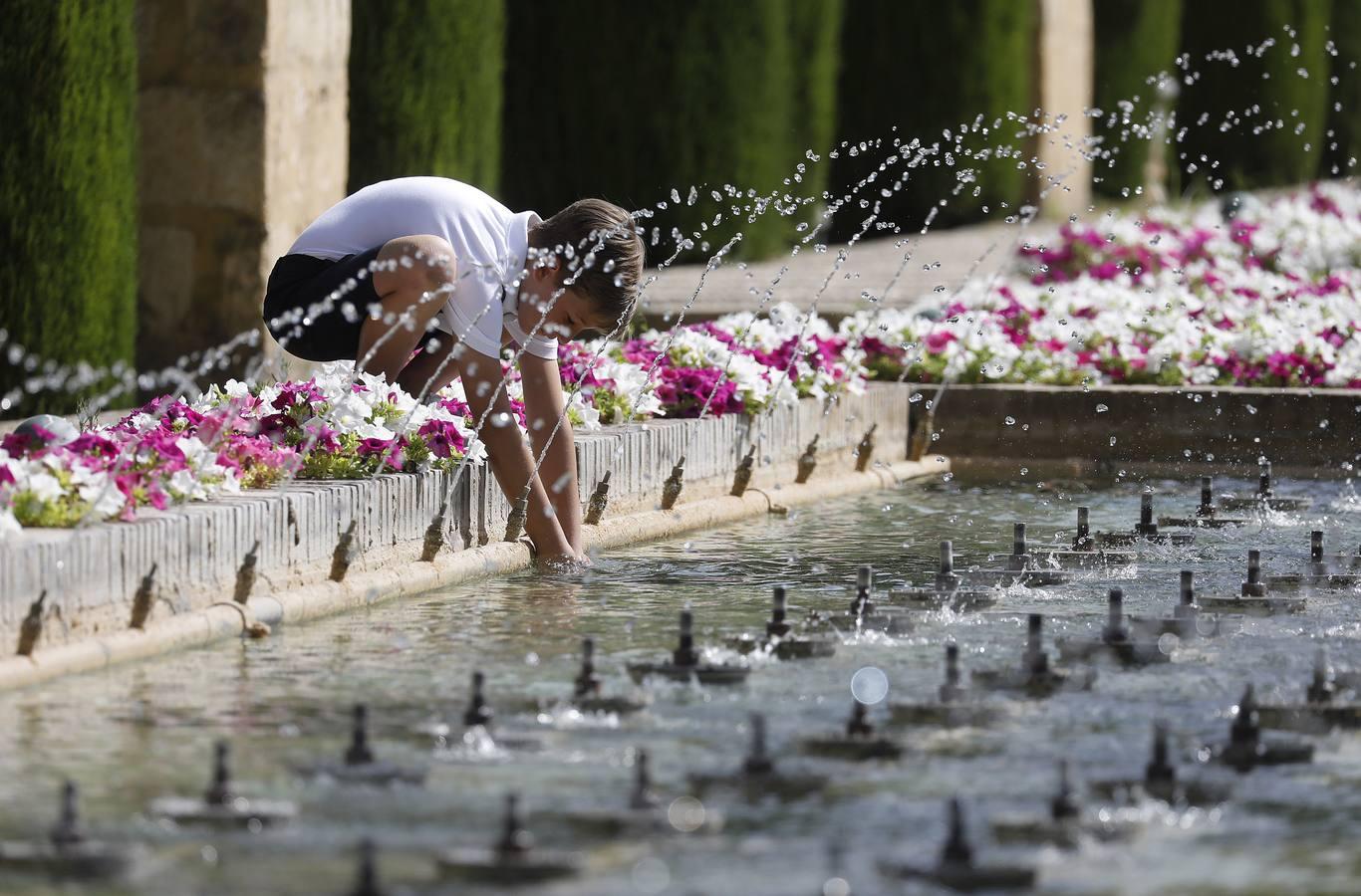 Las visitas al Alcázar de Córdoba, en imágenes