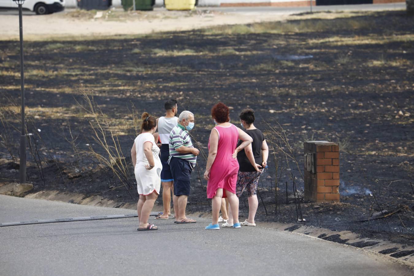 El incendio en Las Quemadillas de Córdoba, en imágenes