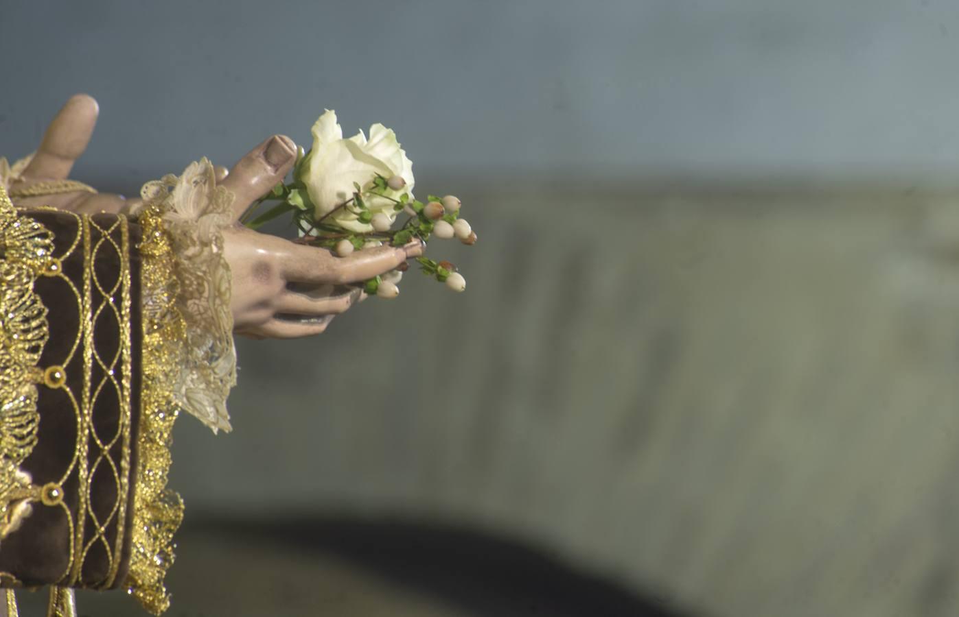 Las imágenes del acto de veneración de la Virgen del Carmen