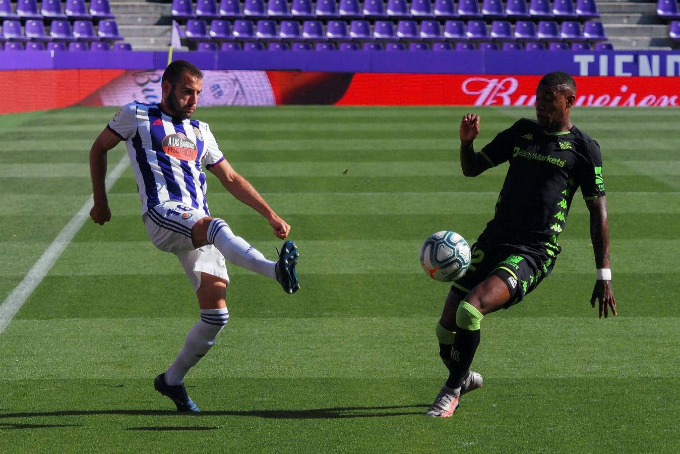 Las mejores imágenes del encuentro entre el Real Valladolid y el Real Betis Balompié