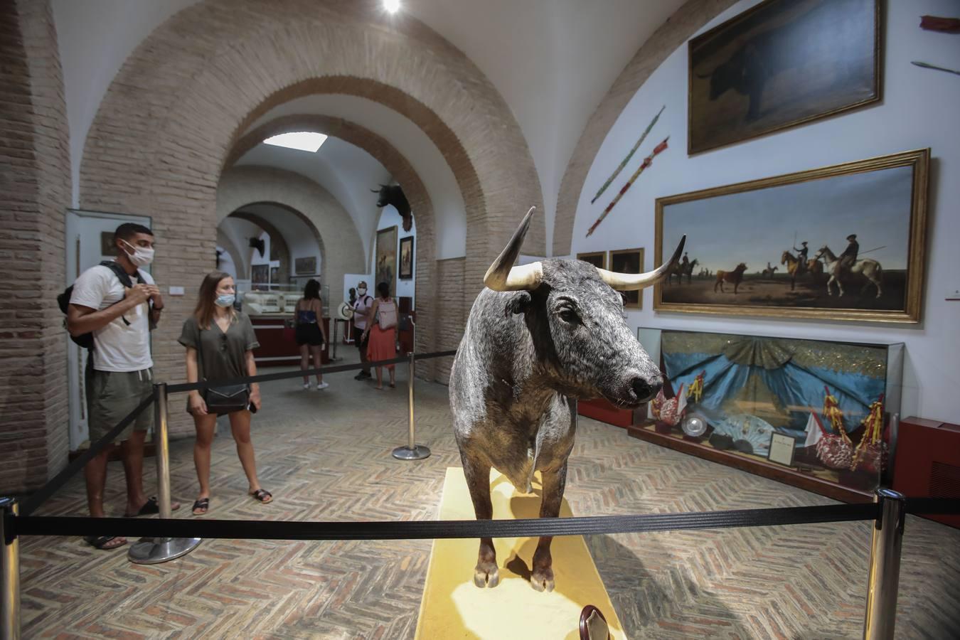 El Museo Taurino de Sevilla reabre sus puertas