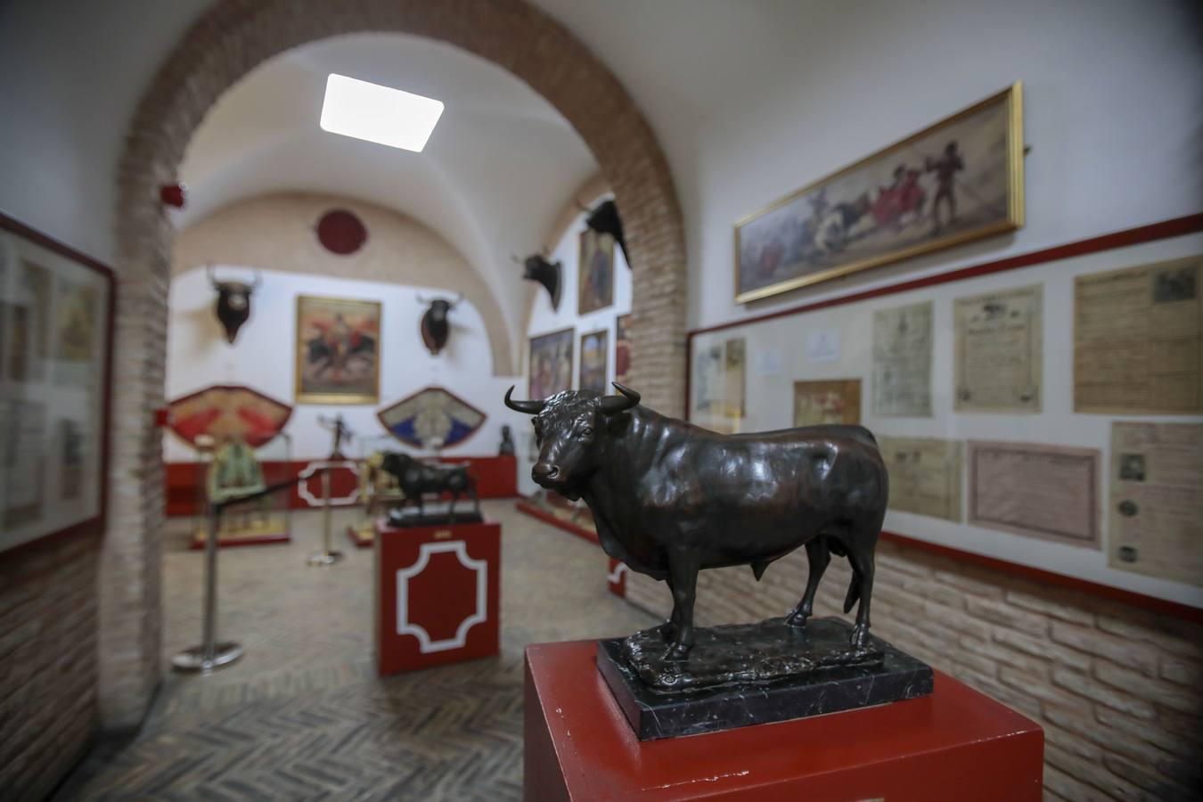 El Museo Taurino de Sevilla reabre sus puertas