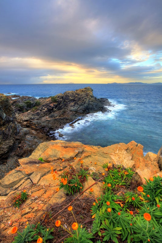 Actividades para todos los gustos. Pero no todo es relax, también ofrece la posibilidad a sus huéspedes de realizar todo tipo de actividades como snorkel, paddle surf y paseos en velero o yate.