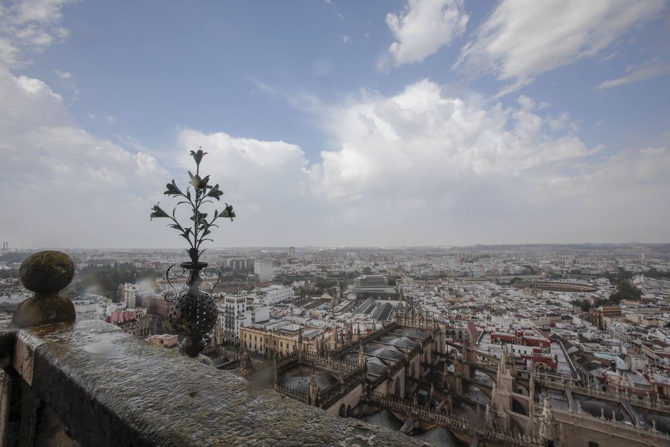 Reapertura de la Catedral de Sevilla a la visita cultural en grupos