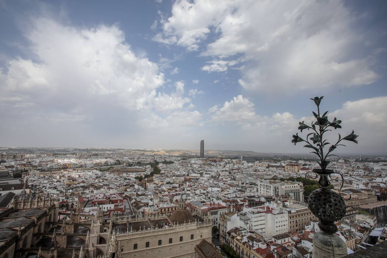 Reapertura de la Catedral de Sevilla a la visita cultural en grupos