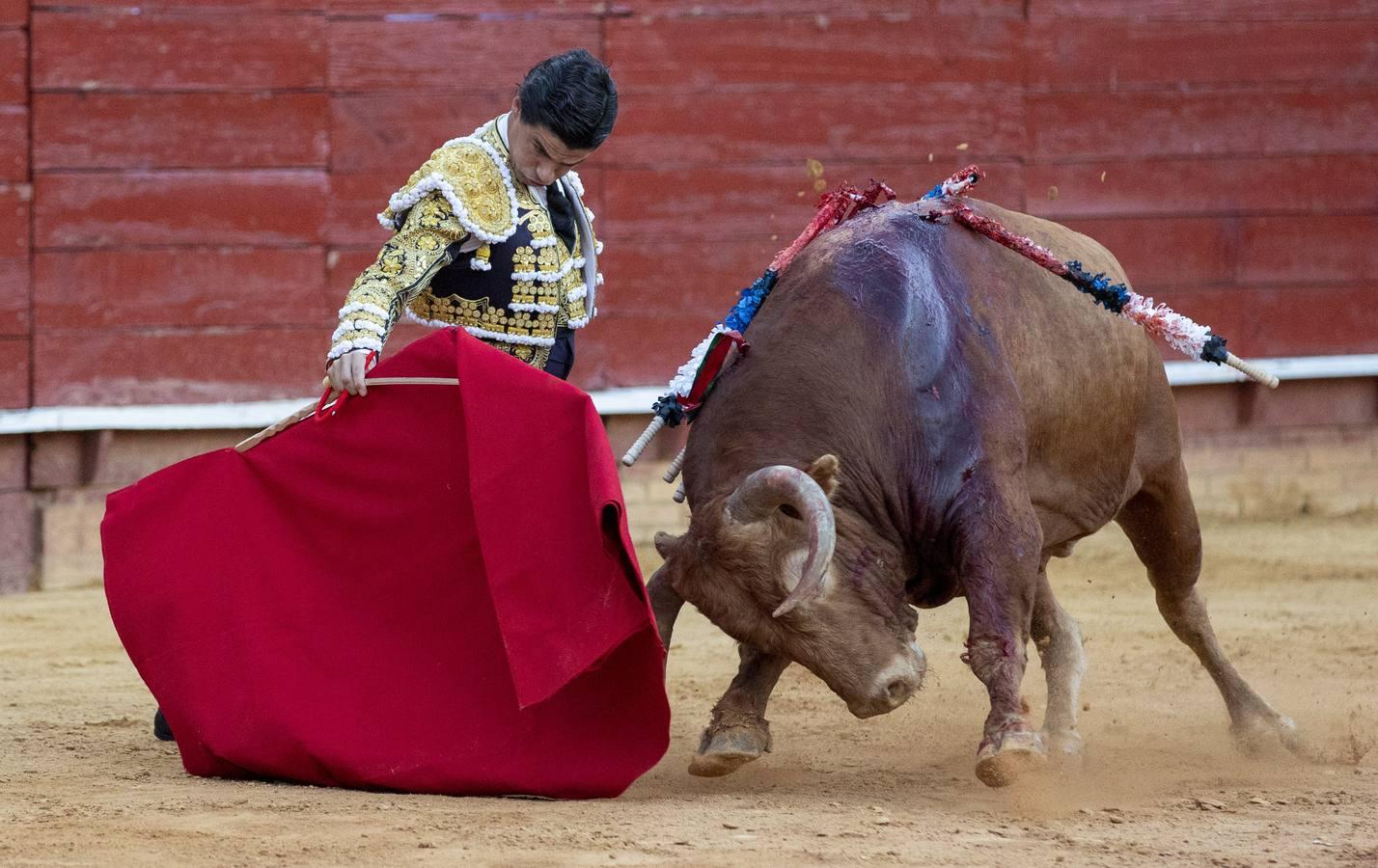 En imágenes, la primera corrida de toros de las Colombinas