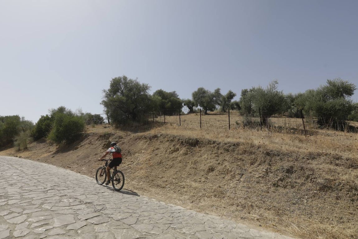 FOTOS: La Sierra de Cádiz, un destino de moda para pasar las vacaciones de coronavirus