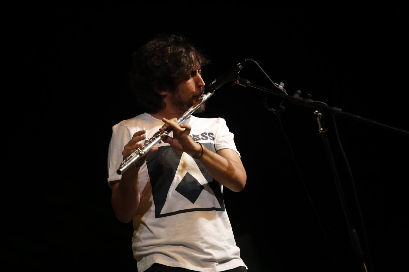 La cálida noche de concierto flamenco en el Alcázar de Córdoba, en imágenes