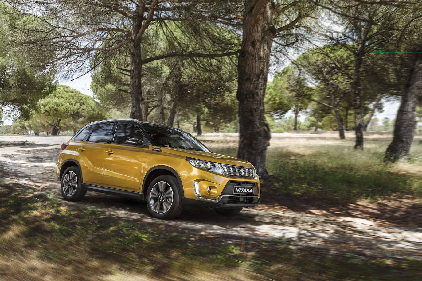 Fotogalería: Suzuki Vitara 2020