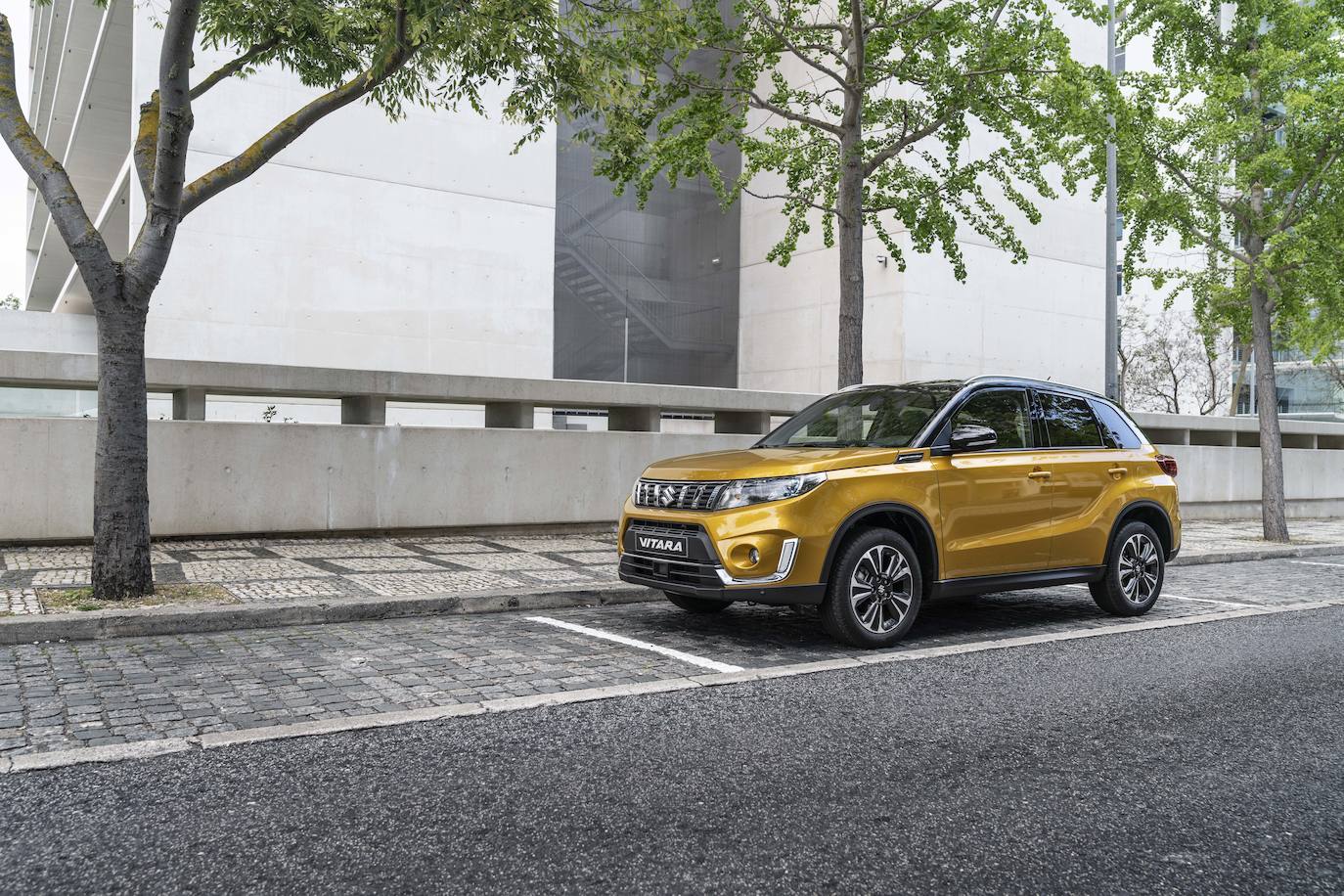 Fotogalería: Suzuki Vitara 2020