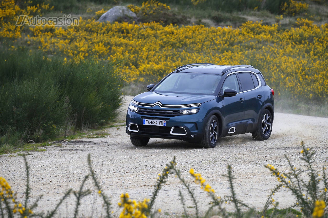 Fotogalería: Citroën C5 Aircross BlueHDi 180