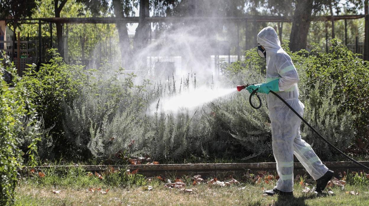 La fumigación contra el mosquito común en los pueblos de Sevilla, en imágenes