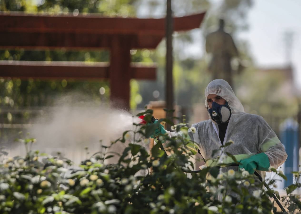 La fumigación contra el mosquito común en los pueblos de Sevilla, en imágenes