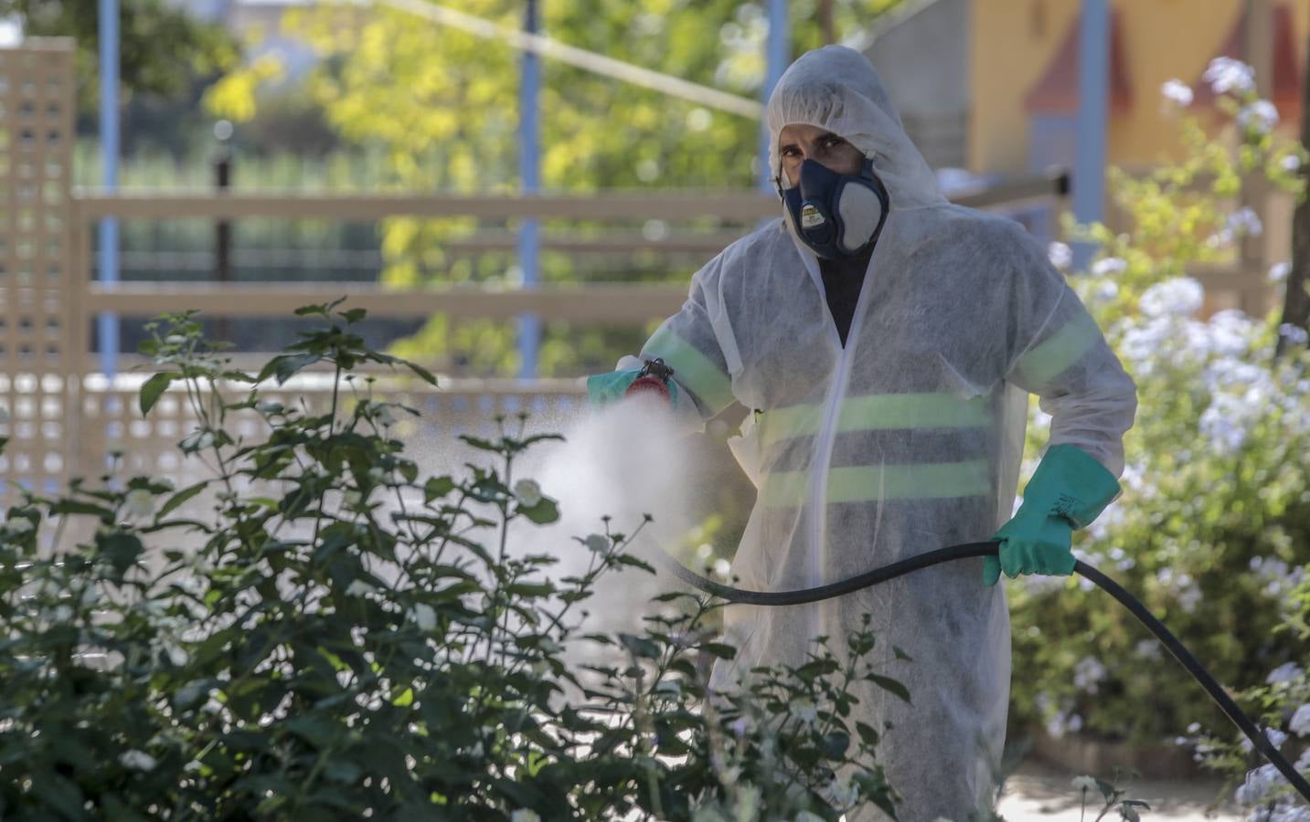 La fumigación contra el mosquito común en los pueblos de Sevilla, en imágenes