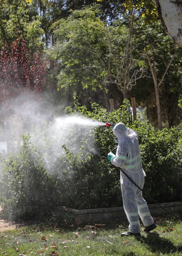 La fumigación contra el mosquito común en los pueblos de Sevilla, en imágenes