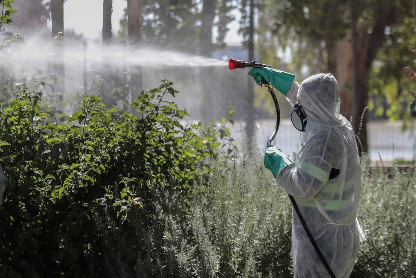 La fumigación contra el mosquito común en los pueblos de Sevilla, en imágenes