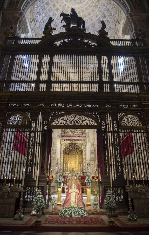 Imágenes del segundo «besamanos» de la Virgen de los Reyes