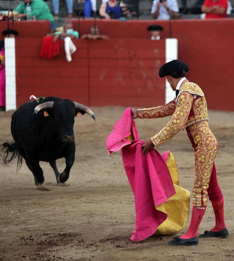 La novillada sin picadores de Sonseca en imágenes