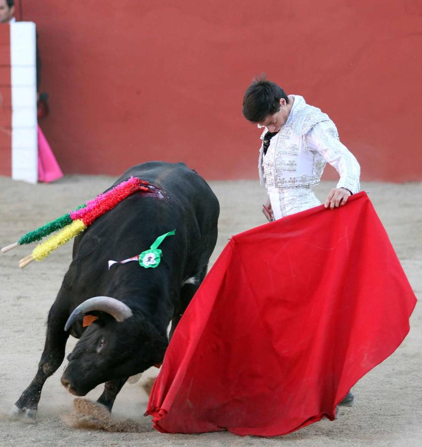 La novillada sin picadores de Sonseca en imágenes