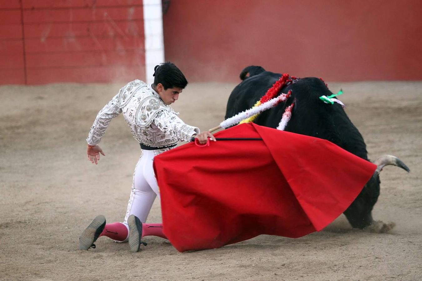 La novillada sin picadores de Sonseca en imágenes