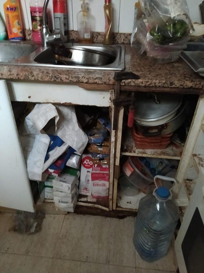 La cocina, destrozada y llena de mugre. 