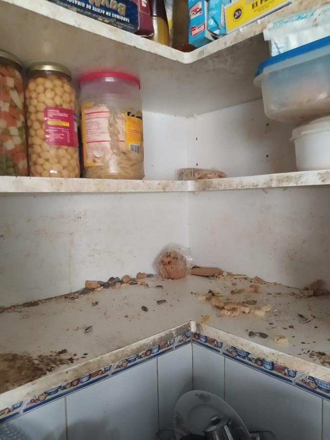 Los muebles de la cocina, carcomidos. 