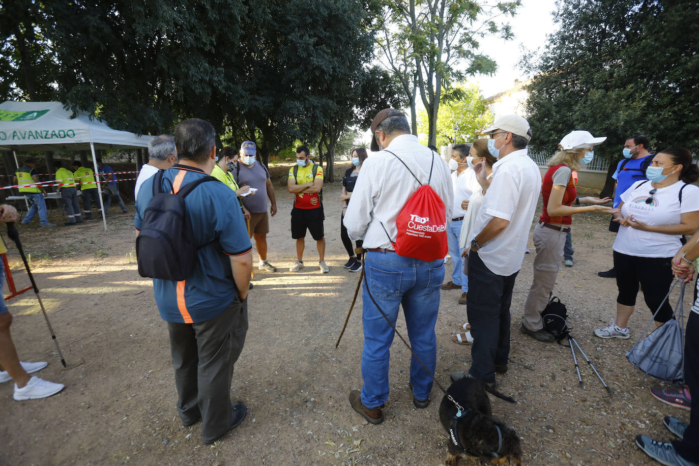 La quinta jornada de búsqueda de José Morilla en Córdoba, en imágenes