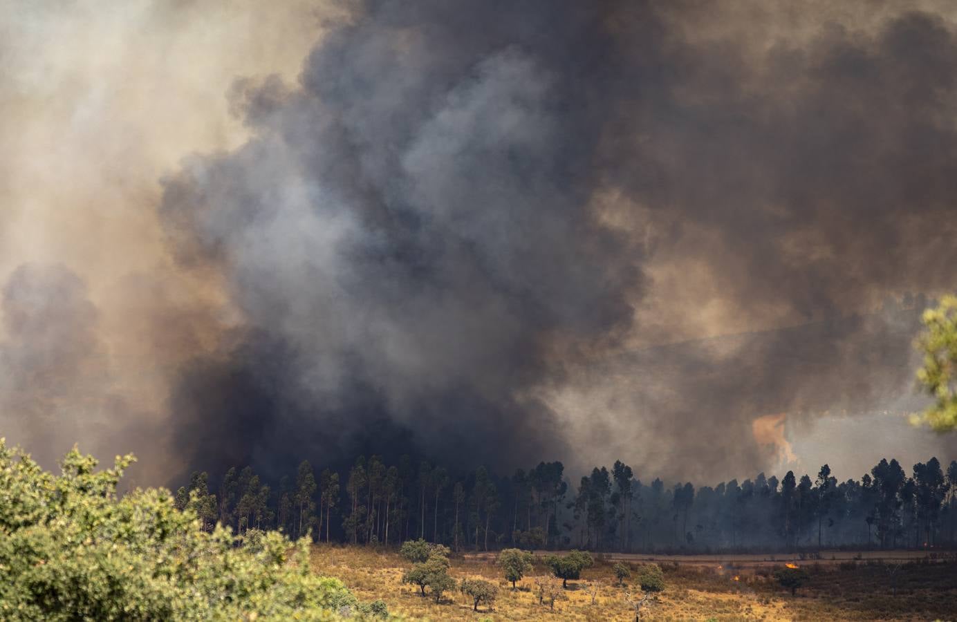 El incendio de Huelva continúa avanzando sin control, en imágenes