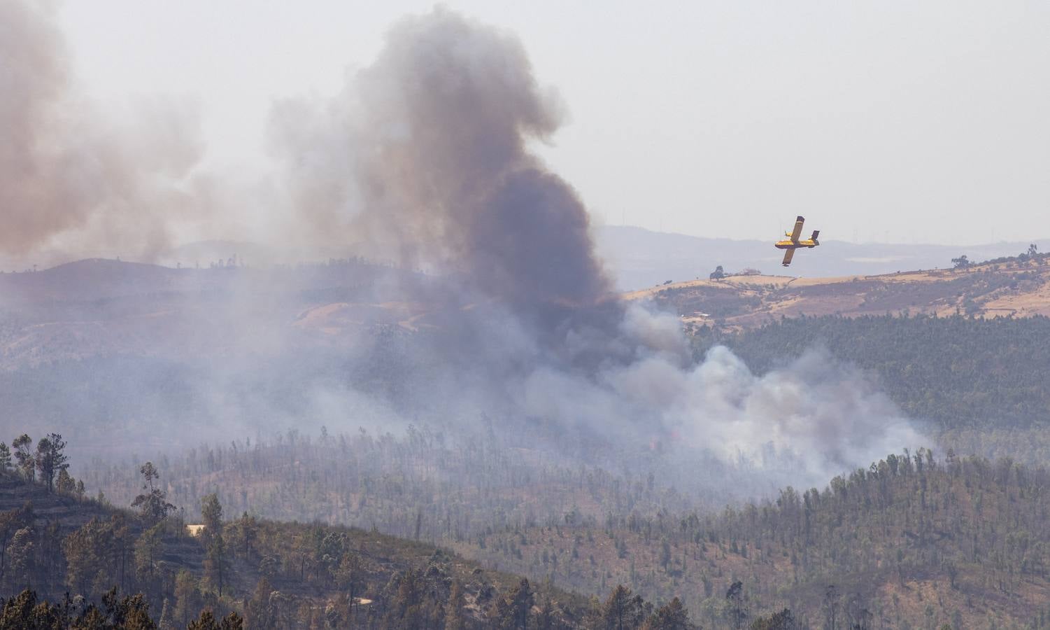 El incendio de Huelva continúa avanzando sin control, en imágenes