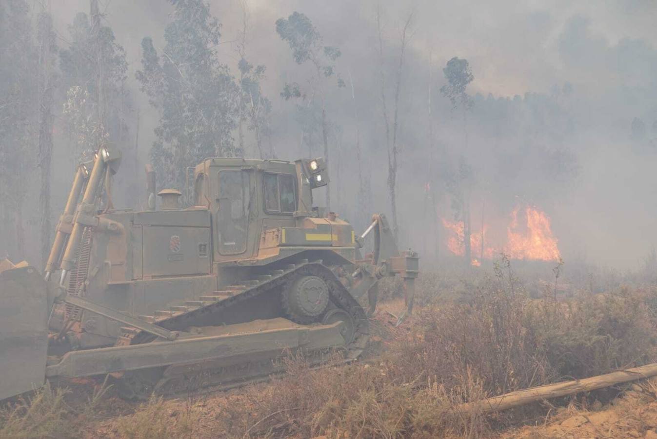 El incendio de Huelva continúa avanzando sin control, en imágenes