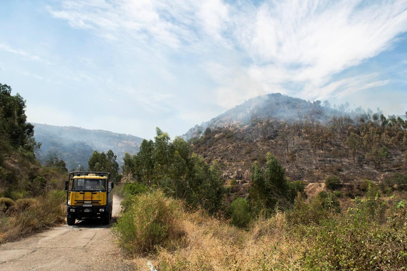 Voraz incendio en la Sierra de Huelva