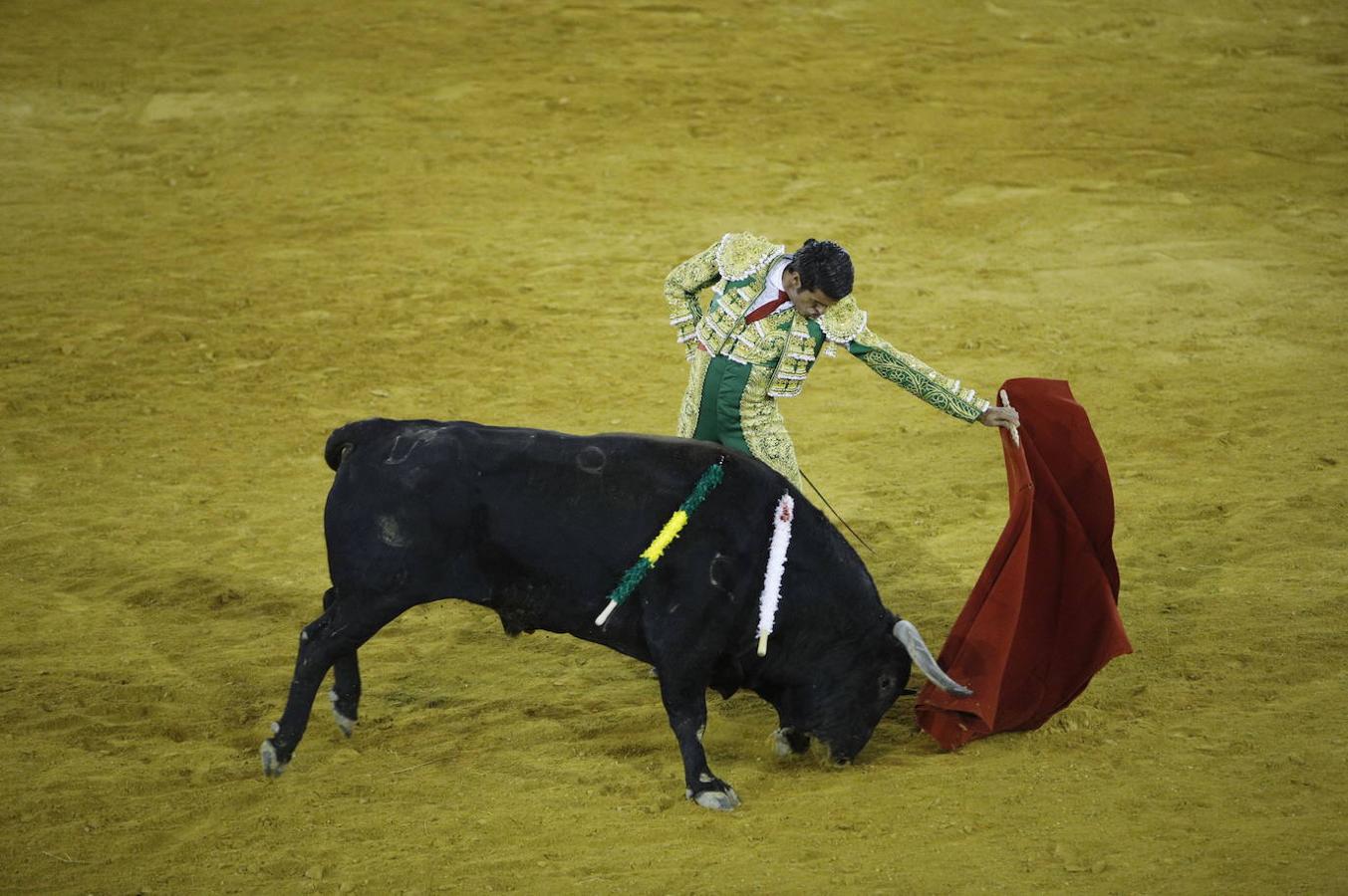 La corrida de toros en Priego de Córdoba, en imágenes