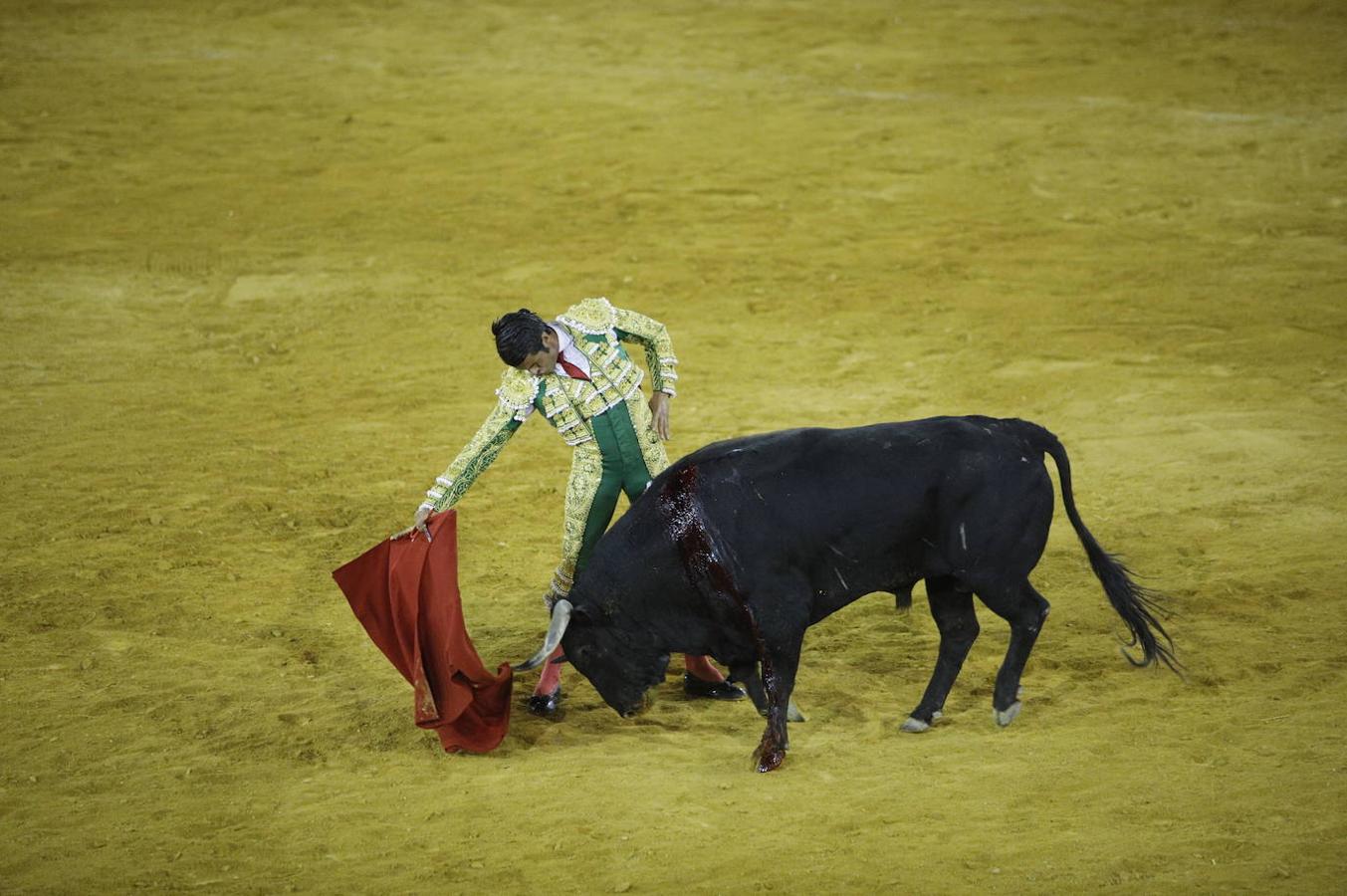 La corrida de toros en Priego de Córdoba, en imágenes