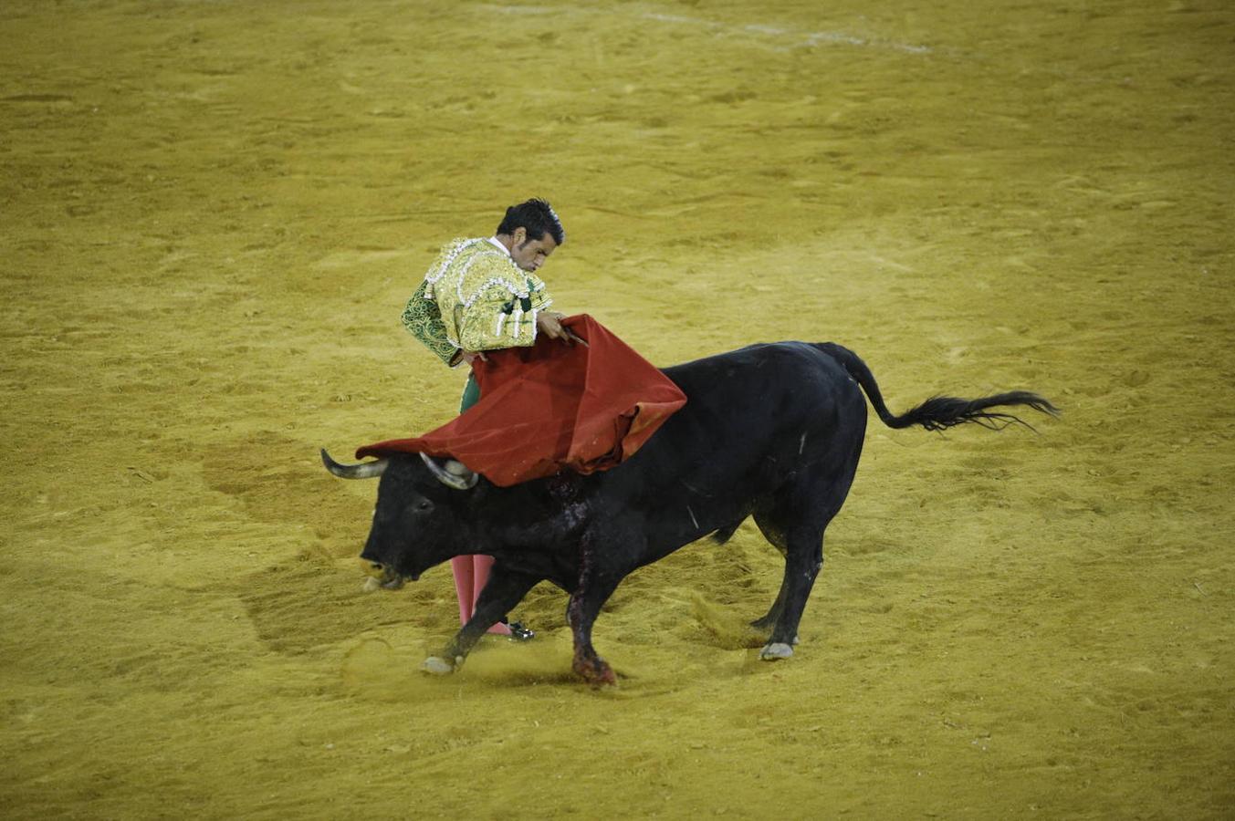 La corrida de toros en Priego de Córdoba, en imágenes