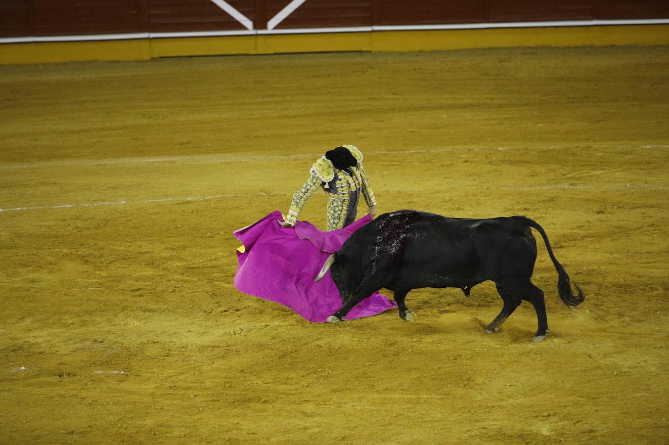 La corrida de toros en Priego de Córdoba, en imágenes