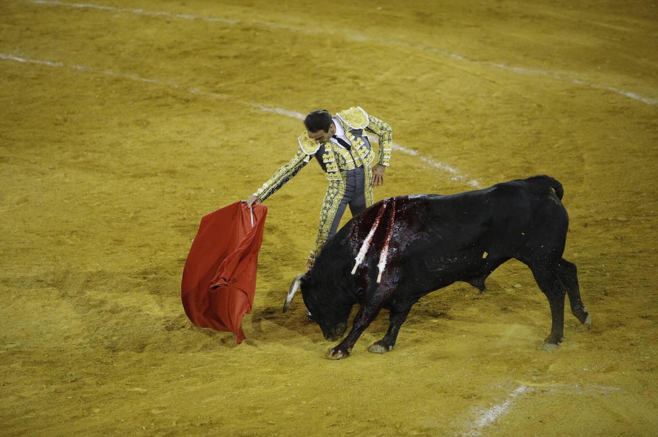 La corrida de toros en Priego de Córdoba, en imágenes