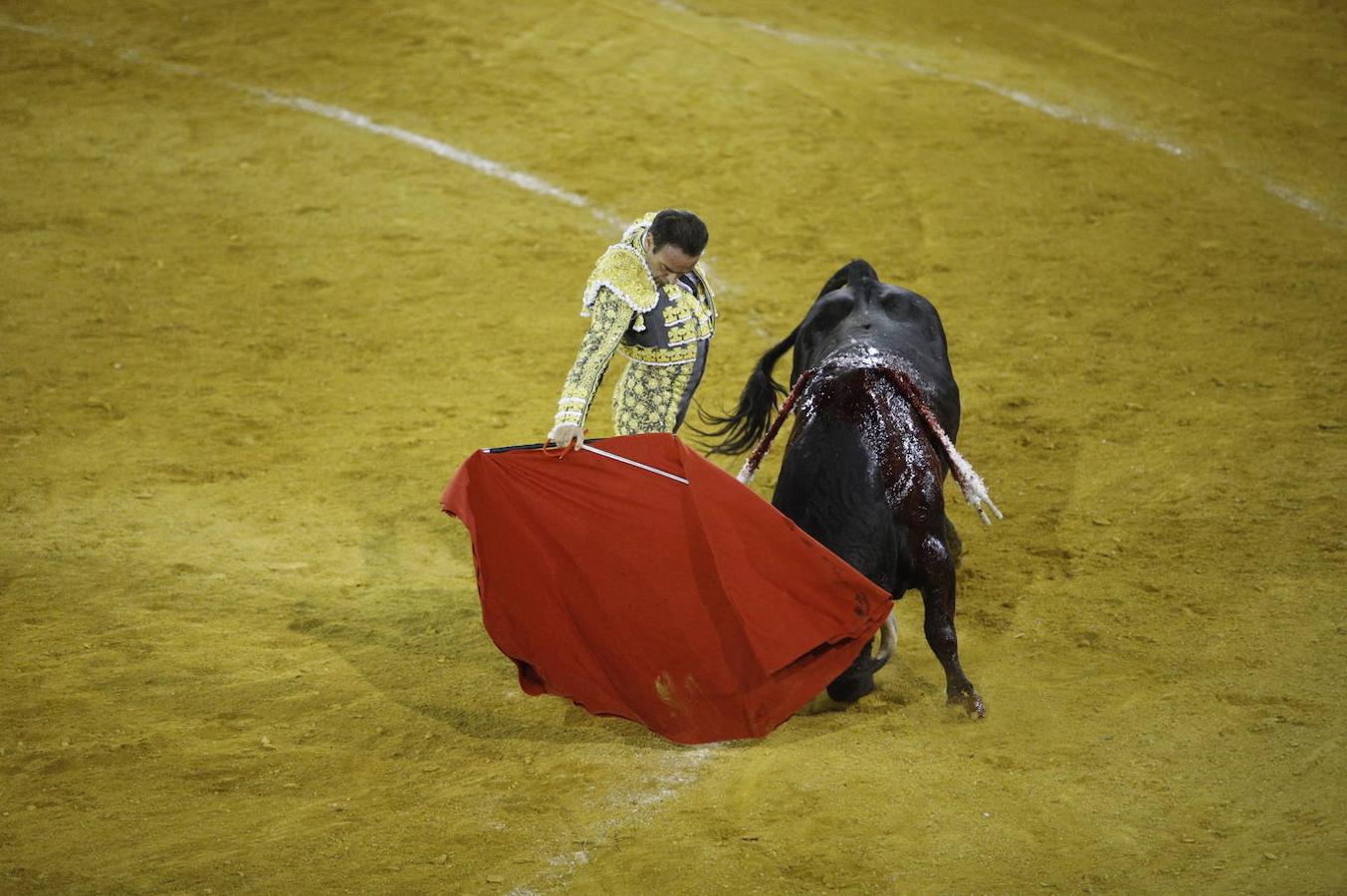 La corrida de toros en Priego de Córdoba, en imágenes