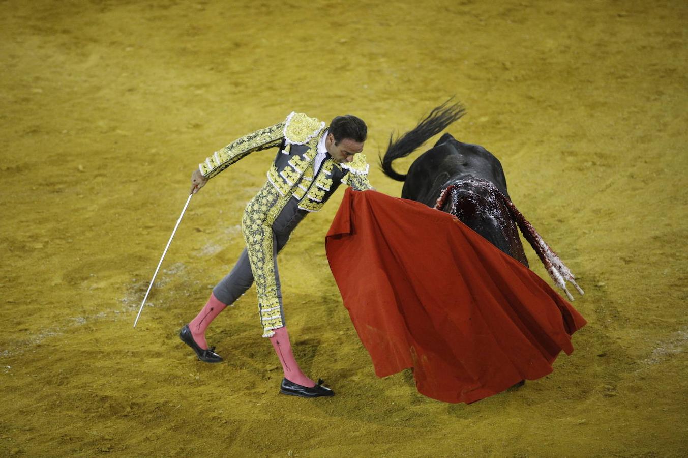 La corrida de toros en Priego de Córdoba, en imágenes