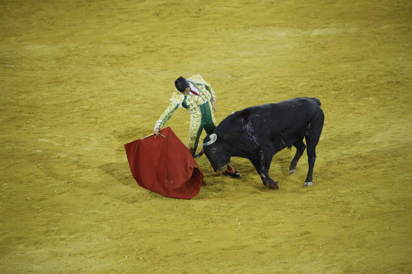 La corrida de toros en Priego de Córdoba, en imágenes