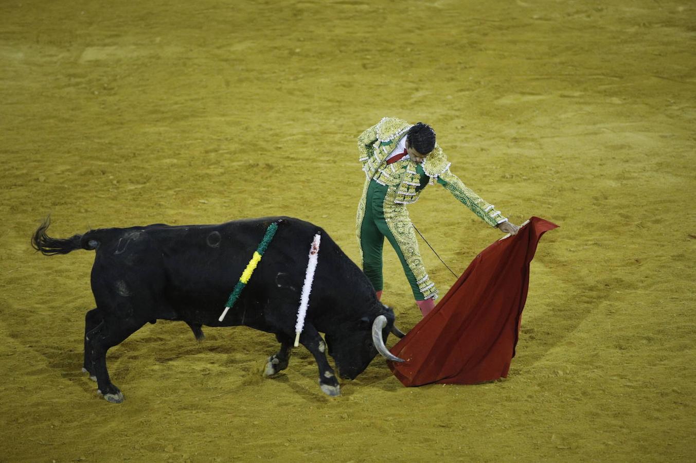 La corrida de toros en Priego de Córdoba, en imágenes