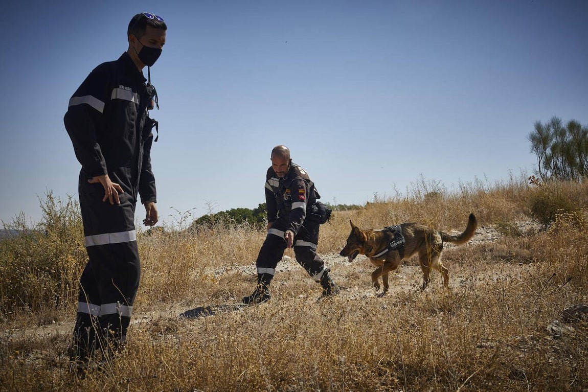 La búsqueda de la joven cordobesa Maite Cantarero, en imágenes