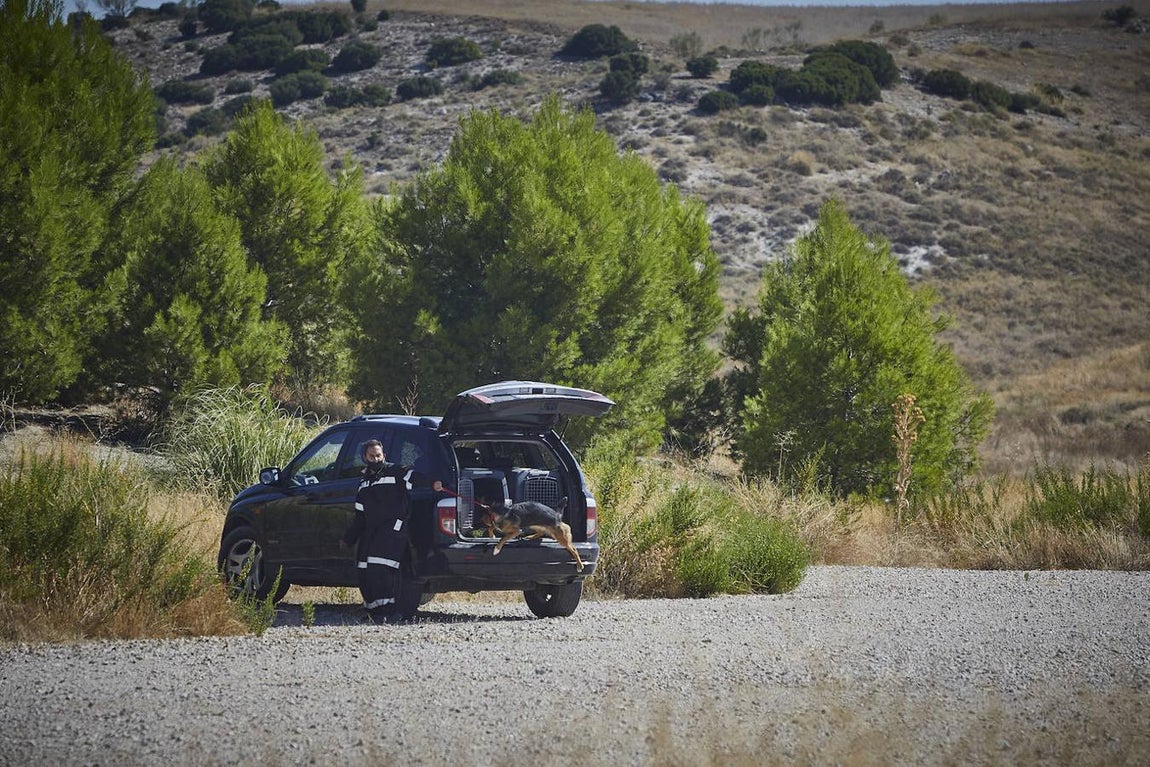 La búsqueda de la joven cordobesa Maite Cantarero, en imágenes
