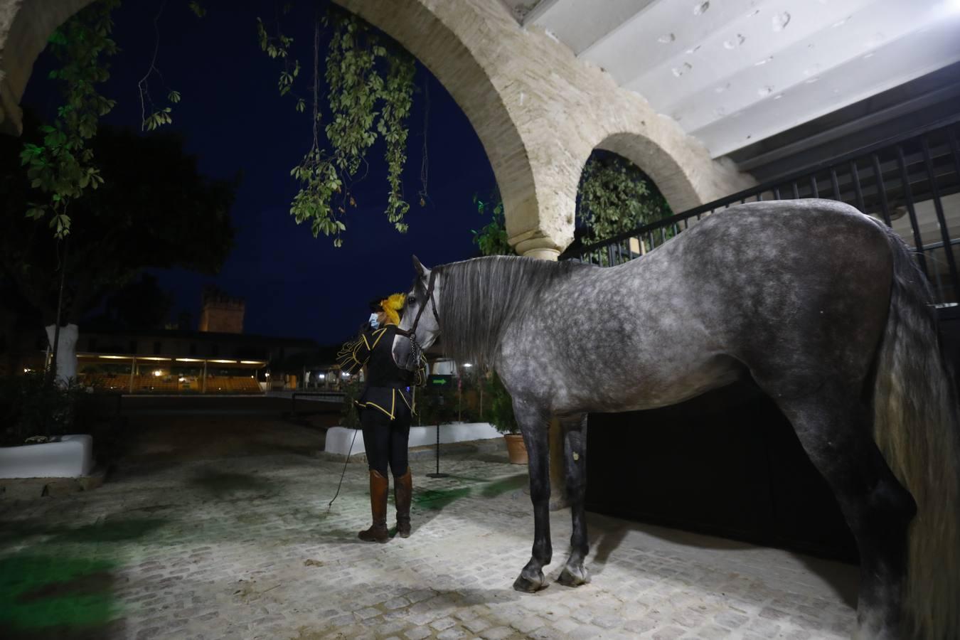 El regreso del espectáculo de Córdoba Ecuestre a Caballerizas Reales, en imágenes