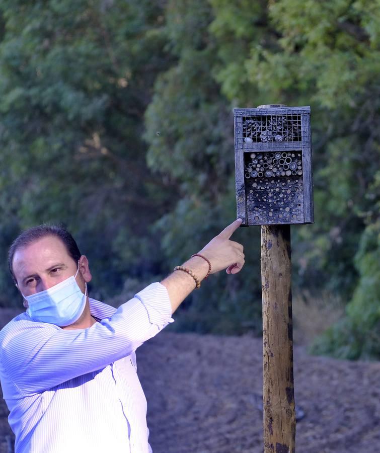 Finca El Valenciano: de cortijo a «startup», en imágenes