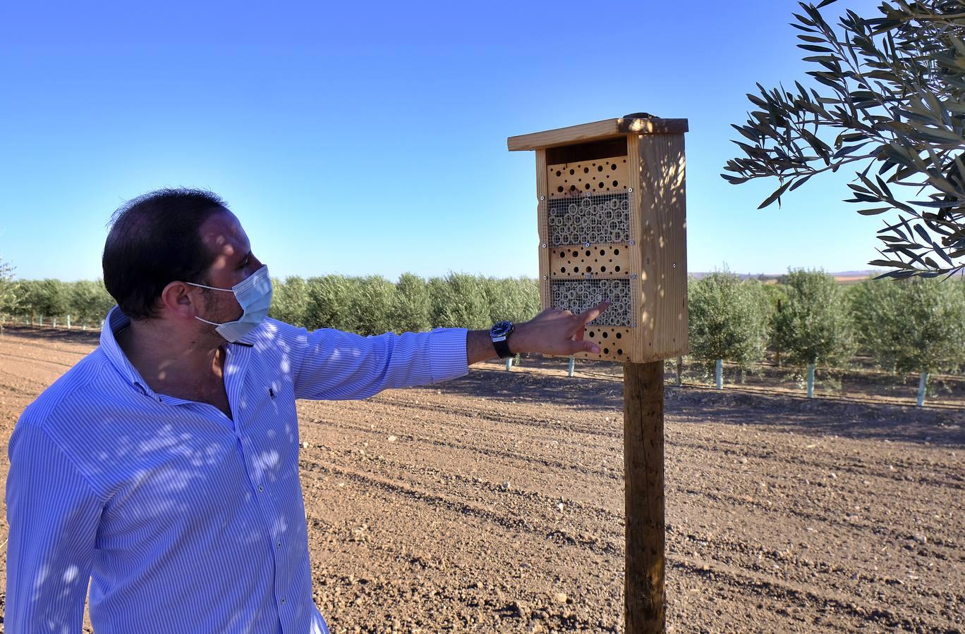 Finca El Valenciano: de cortijo a «startup», en imágenes