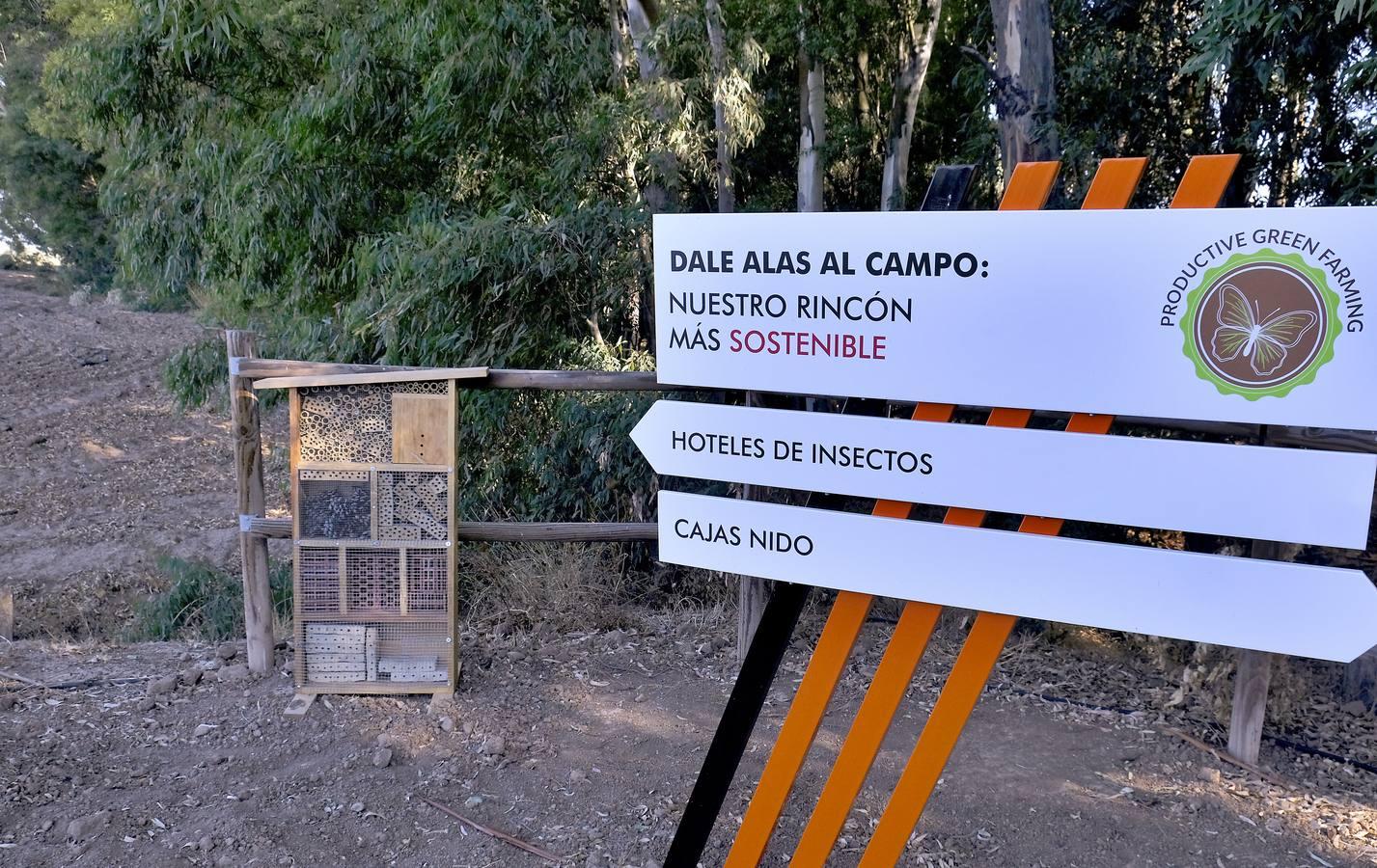 Finca El Valenciano: de cortijo a «startup», en imágenes