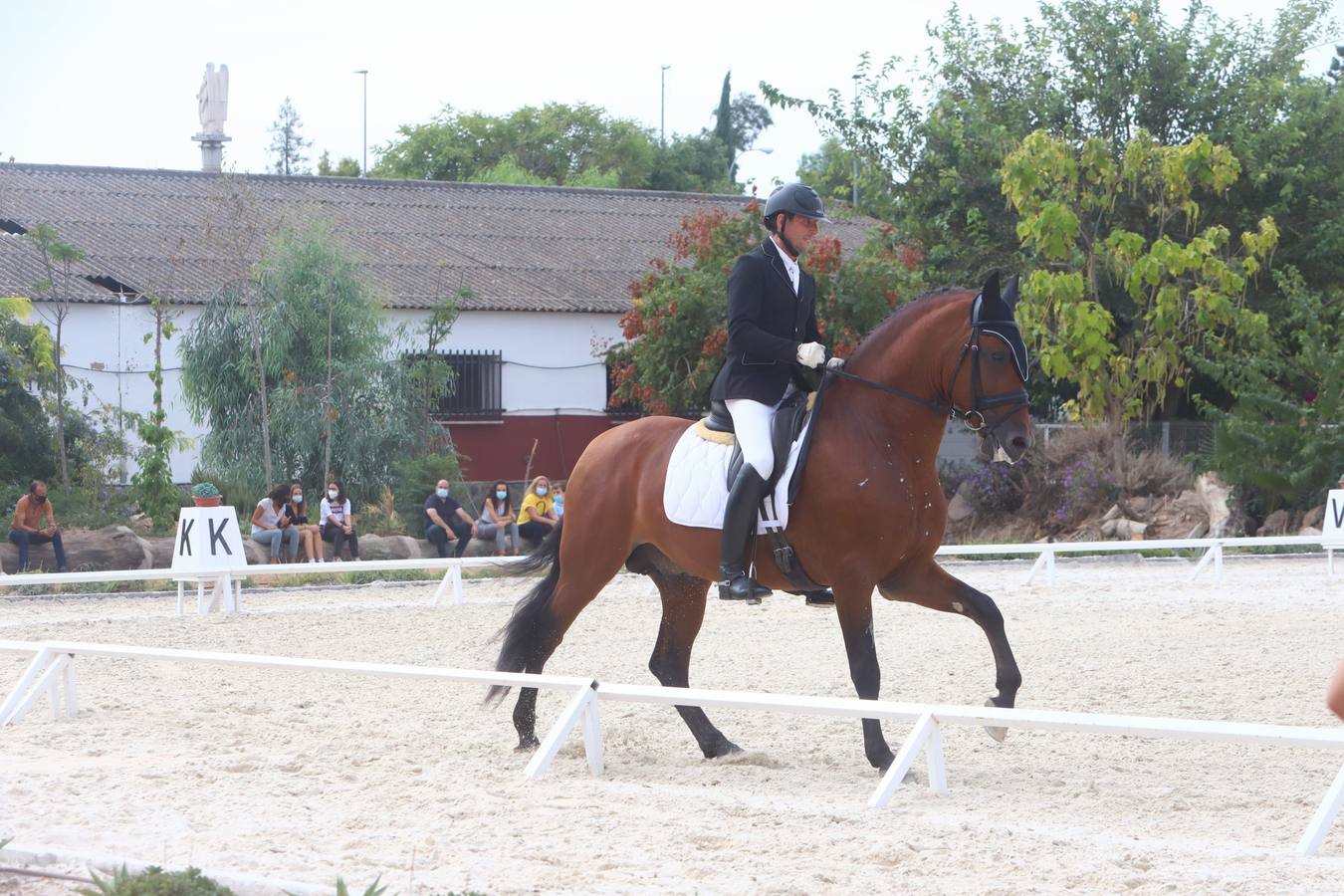 El concurso nacional de doma clásica en Caballerizas Reales, en imágenes